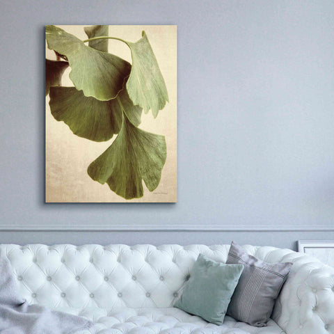 Image of 'Gingko Color' by Debra Van Swearingen, Canvas Wall Art,40 x 54