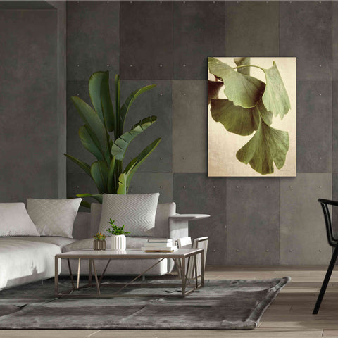 Image of 'Gingko Color' by Debra Van Swearingen, Canvas Wall Art,40 x 54