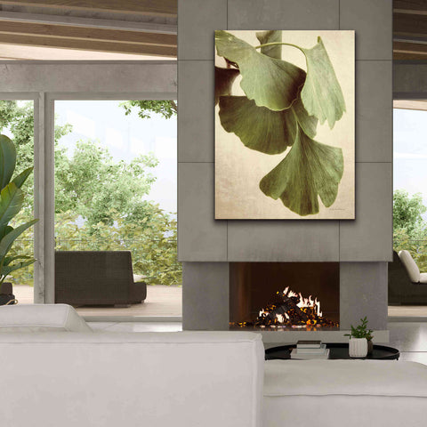 Image of 'Gingko Color' by Debra Van Swearingen, Canvas Wall Art,40 x 54