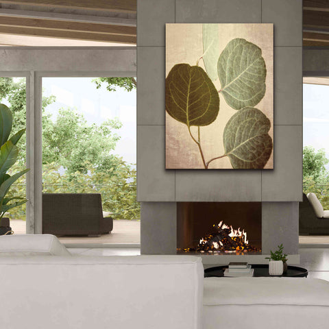 Image of 'Eucalyptus Color' by Debra Van Swearingen, Canvas Wall Art,40 x 54