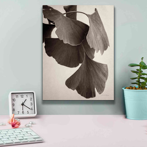 Image of 'Gingko Sepia' by Debra Van Swearingen, Canvas Wall Art,12 x 16