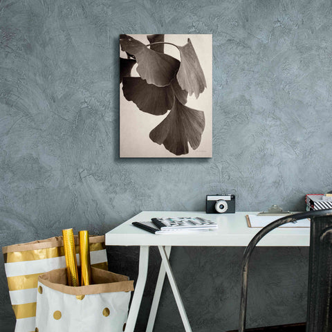 Image of 'Gingko Sepia' by Debra Van Swearingen, Canvas Wall Art,12 x 16