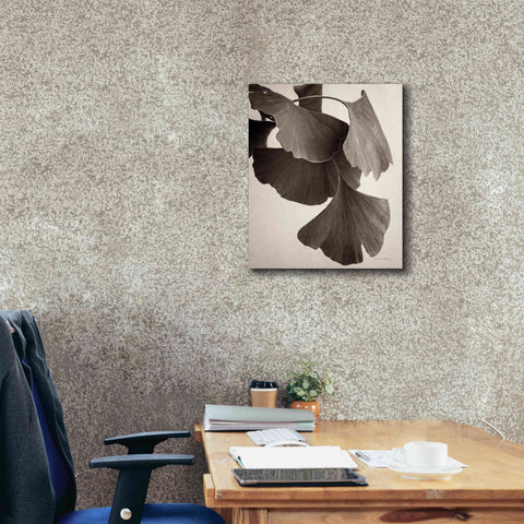 Image of 'Gingko Sepia' by Debra Van Swearingen, Canvas Wall Art,20 x 24