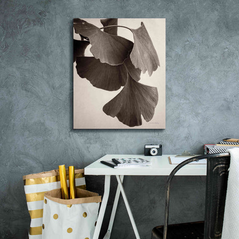 Image of 'Gingko Sepia' by Debra Van Swearingen, Canvas Wall Art,20 x 24