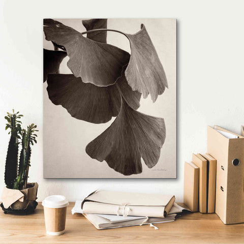 Image of 'Gingko Sepia' by Debra Van Swearingen, Canvas Wall Art,20 x 24