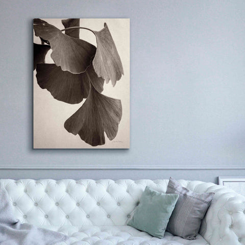 Image of 'Gingko Sepia' by Debra Van Swearingen, Canvas Wall Art,40 x 54