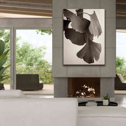 Image of 'Gingko Sepia' by Debra Van Swearingen, Canvas Wall Art,40 x 54