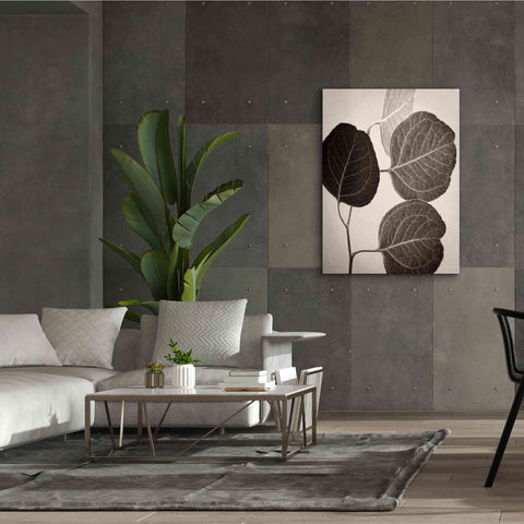 Image of 'Eucalyptus Sepia' by Debra Van Swearingen, Canvas Wall Art,40 x 54