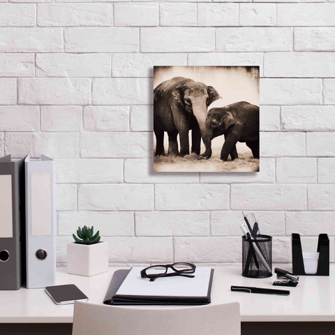 Image of 'Elephant III Sepia' by Debra Van Swearingen, Canvas Wall Art,12 x 12