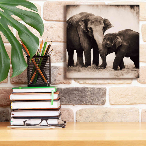 Image of 'Elephant III Sepia' by Debra Van Swearingen, Canvas Wall Art,12 x 12