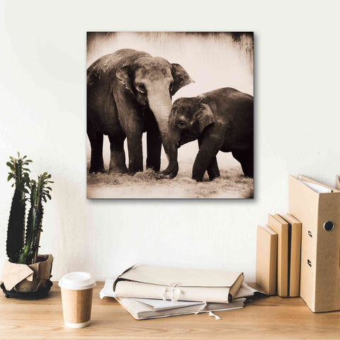Image of 'Elephant III Sepia' by Debra Van Swearingen, Canvas Wall Art,18 x 18