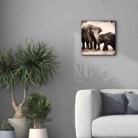 Image of 'Elephant III Sepia' by Debra Van Swearingen, Canvas Wall Art,18 x 18