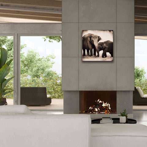 Image of 'Elephant III Sepia' by Debra Van Swearingen, Canvas Wall Art,26 x 26