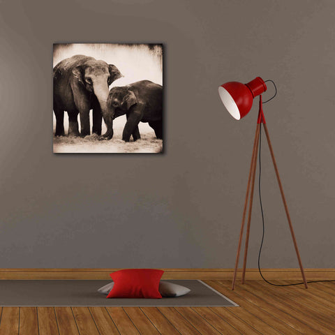 Image of 'Elephant III Sepia' by Debra Van Swearingen, Canvas Wall Art,26 x 26