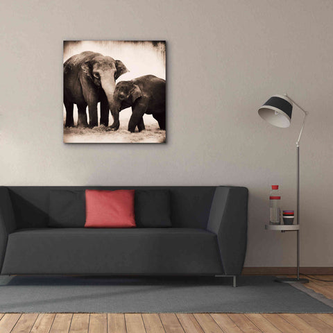 Image of 'Elephant III Sepia' by Debra Van Swearingen, Canvas Wall Art,37 x 37