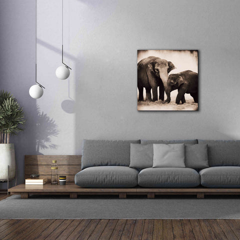 Image of 'Elephant III Sepia' by Debra Van Swearingen, Canvas Wall Art,37 x 37