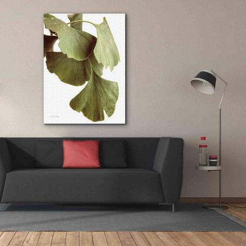 Image of 'Ginko Color on White' by Debra Van Swearingen, Canvas Wall Art,40 x 54