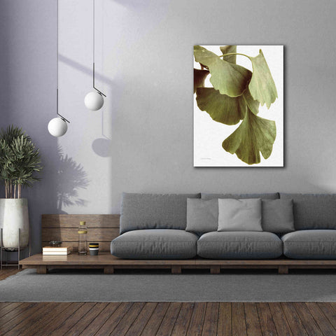 Image of 'Ginko Color on White' by Debra Van Swearingen, Canvas Wall Art,40 x 54