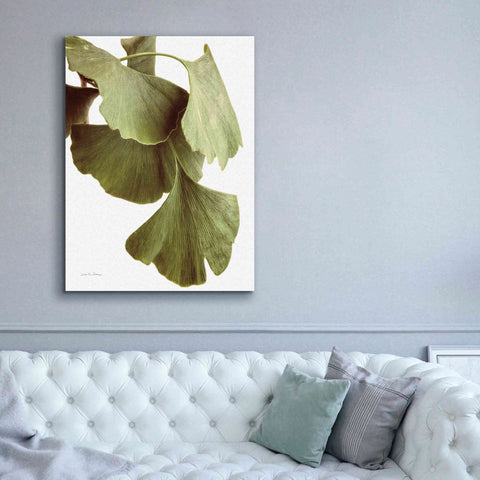 Image of 'Ginko Color on White' by Debra Van Swearingen, Canvas Wall Art,40 x 54
