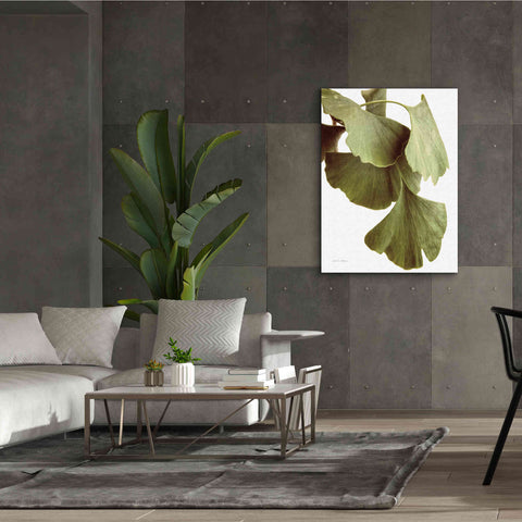 Image of 'Ginko Color on White' by Debra Van Swearingen, Canvas Wall Art,40 x 54