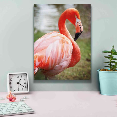 Image of 'Flamingo I' by Debra Van Swearingen, Canvas Wall Art,12 x 16