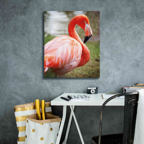 Image of 'Flamingo I' by Debra Van Swearingen, Canvas Wall Art,20 x 24