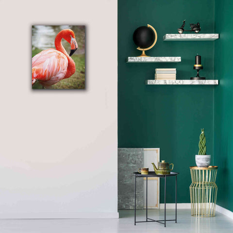 Image of 'Flamingo I' by Debra Van Swearingen, Canvas Wall Art,20 x 24