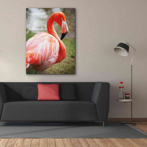 Image of 'Flamingo I' by Debra Van Swearingen, Canvas Wall Art,40 x 54