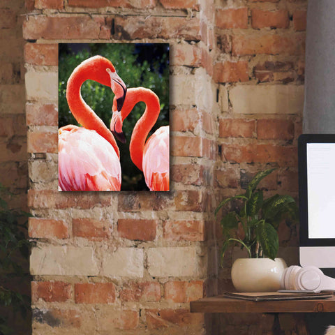 Image of 'Flamingo II' by Debra Van Swearingen, Canvas Wall Art,12 x 16