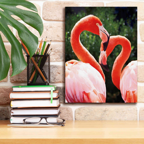 Image of 'Flamingo II' by Debra Van Swearingen, Canvas Wall Art,12 x 16