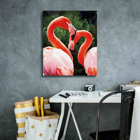 Image of 'Flamingo II' by Debra Van Swearingen, Canvas Wall Art,20 x 24
