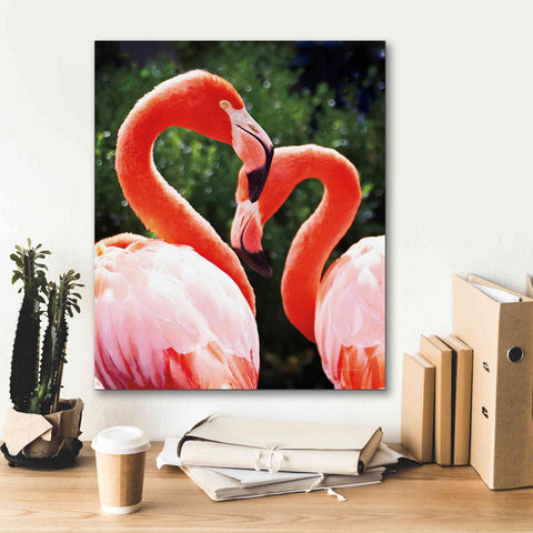 Image of 'Flamingo II' by Debra Van Swearingen, Canvas Wall Art,20 x 24