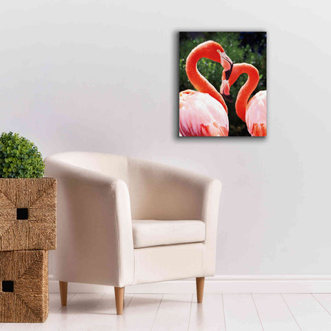 Image of 'Flamingo II' by Debra Van Swearingen, Canvas Wall Art,20 x 24
