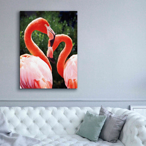 Image of 'Flamingo II' by Debra Van Swearingen, Canvas Wall Art,40 x 54