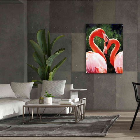 Image of 'Flamingo II' by Debra Van Swearingen, Canvas Wall Art,40 x 54
