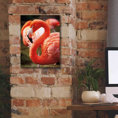 Image of 'Flamingo III' by Debra Van Swearingen, Canvas Wall Art,12 x 16