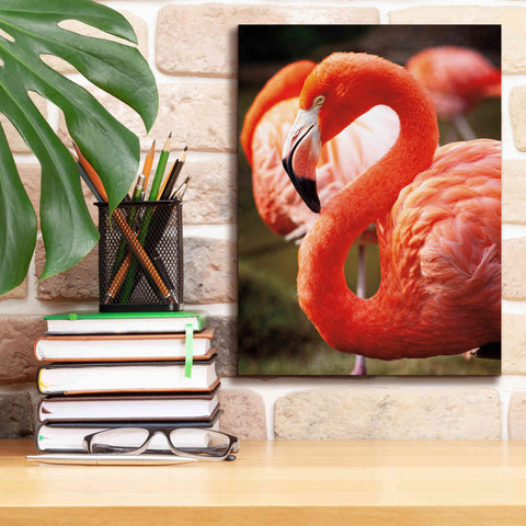 Image of 'Flamingo III' by Debra Van Swearingen, Canvas Wall Art,12 x 16