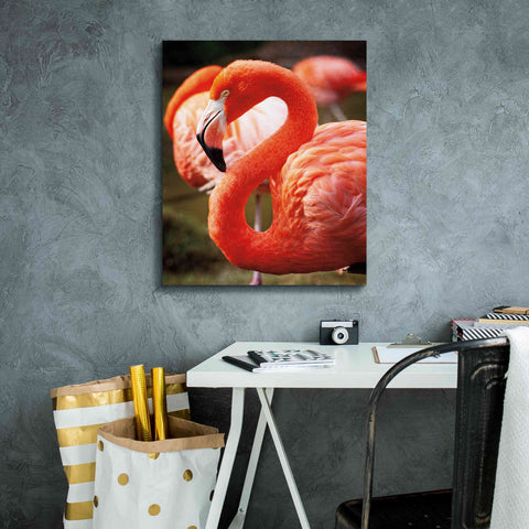 Image of 'Flamingo III' by Debra Van Swearingen, Canvas Wall Art,20 x 24
