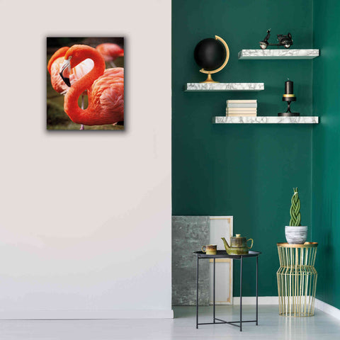 Image of 'Flamingo III' by Debra Van Swearingen, Canvas Wall Art,20 x 24