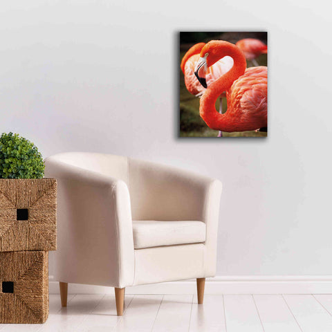 Image of 'Flamingo III' by Debra Van Swearingen, Canvas Wall Art,20 x 24