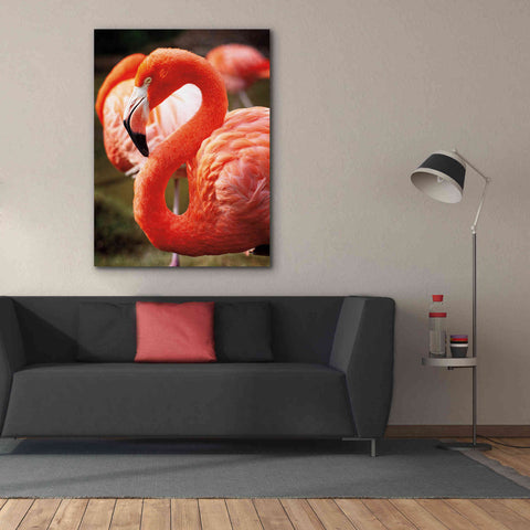 Image of 'Flamingo III' by Debra Van Swearingen, Canvas Wall Art,40 x 54