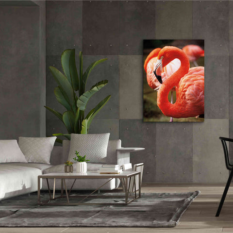 Image of 'Flamingo III' by Debra Van Swearingen, Canvas Wall Art,40 x 54