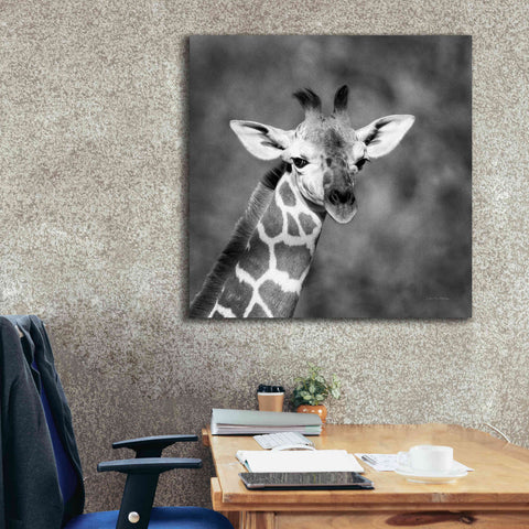 Image of 'Little Guy' by Debra Van Swearingen, Canvas Wall Art,37 x 37