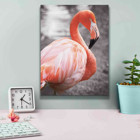 Image of 'Flamingo I on BW' by Debra Van Swearingen, Canvas Wall Art,12 x 16