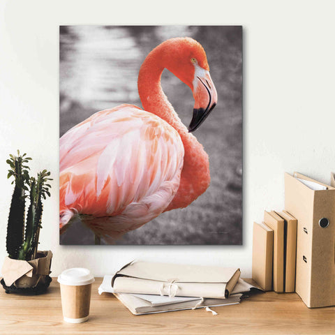 Image of 'Flamingo I on BW' by Debra Van Swearingen, Canvas Wall Art,20 x 24