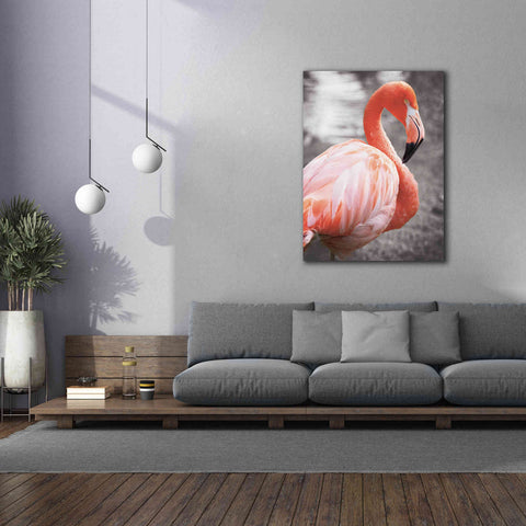 Image of 'Flamingo I on BW' by Debra Van Swearingen, Canvas Wall Art,40 x 54