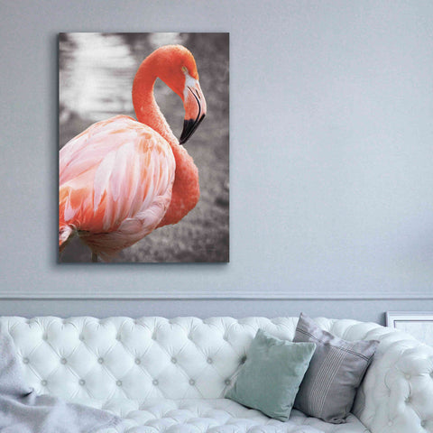 Image of 'Flamingo I on BW' by Debra Van Swearingen, Canvas Wall Art,40 x 54