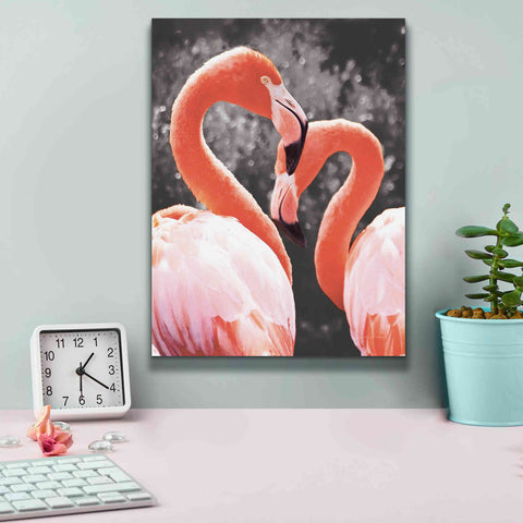 Image of 'Flamingo II on BW' by Debra Van Swearingen, Canvas Wall Art,12 x 16