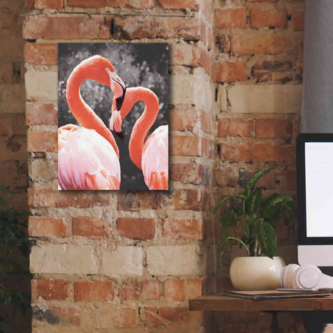 Image of 'Flamingo II on BW' by Debra Van Swearingen, Canvas Wall Art,12 x 16