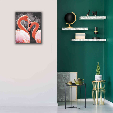 Image of 'Flamingo II on BW' by Debra Van Swearingen, Canvas Wall Art,20 x 24